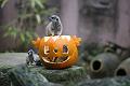 2015-10-22 07-14-16